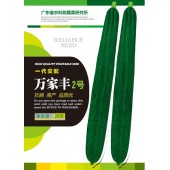 广东粤蔬 万家丰二号丝瓜 广东农科院选育 夏丝瓜品种 耐热 高抗病 强烈推荐 丝瓜种子 15克装