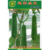 广东粤蔬 连环杂交九号节瓜 广东农科院选育 早熟 瓜形美观 瓜肉硬实 节瓜种子 15克装