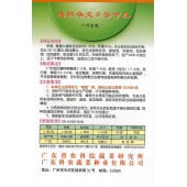 广东粤蔬 连环杂交九号节瓜 广东农科院选育 早熟 瓜形美观 瓜肉硬实 节瓜种子 15克装