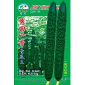 广州阳兴 秀田一号青瓜王 青瓜新品种 抗病力强 极耐贮运 青瓜种子 20克装