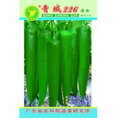 广东粤蔬 青城226辣椒 广东农科院选育 耐贮运...