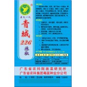广东粤蔬 青城226辣椒 广东农科院选育 耐贮运 辣椒种子 10克装