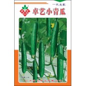 广州卓艺 小青瓜种子 水果青瓜 商品瓜长20cm 播种至初收约50天 单瓜重约100克 肉厚质脆甜 青瓜种子 5克装