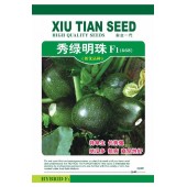 广州阳兴 秀绿明珠西葫芦 高档特色西葫芦品种 近圆球形 西葫芦种子 10克装