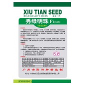 广州阳兴 秀绿明珠西葫芦 高档特色西葫芦品种 近圆球形 西葫芦种子 10克装