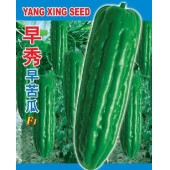 广州阳兴 早秀早苦瓜 耐寒 抗逆性强/ 果长30厘米左右 苦瓜种子 50克装