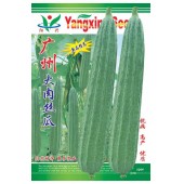 广州阳兴 广州大肉丝瓜 皮色绿白有光泽 品质优 丝瓜种子 10克装
