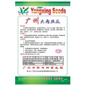 广州阳兴 广州大肉丝瓜 皮色绿白有光泽 品质优 丝瓜种子 10克装