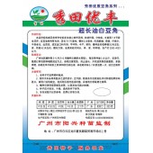 广州阳兴 秀田优丰超长油白豆角种子 早中熟 耐热 高产 豆角种子 200克装