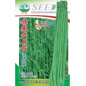 广州阳兴 特高产8号油青豆角种子 特高产 连续采收时间长 豆角种子 30克装