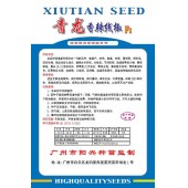 广州阳兴 青龙线椒种子 深绿线椒系列 耐贮运 线椒种子 5克装