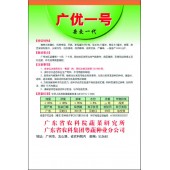 广东粤蔬 广优一号节瓜种子 广东农科院选育  适播1-4月 7-8月 节瓜种子 20克装