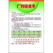 广东粤蔬 广利杂交粉皮冬瓜种子 广东农科院选育 瓜长35厘米 耐贮性好 冬瓜种子 20克/包