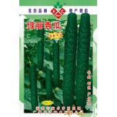 广州卓艺 绿丽青瓜种子 农科院老专家选育  获奖品种  耐低温 青瓜种子 10克装
