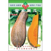 广州卓艺 蜜本南瓜种子 农科院老专家选育  中熟强烈推荐 南瓜种子 40克罐装