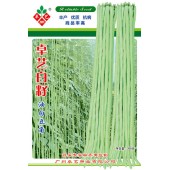 广州卓艺 白籽油白豆角种子 小籽 丰产 抗病 商品率高 豆角种子 200克装
