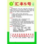广东粤蔬 汇丰5号黄皮尖椒种子 广东农科院选育 果大肉厚 耐热耐湿 强抗病性 辣椒种子 8克装