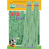 广州阳兴 美佳油白豆角种子 耐高温 耐雨水 高产抗病 豆角种子 200克装