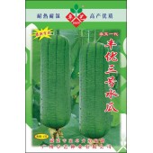 广州卓艺 丰优三号水瓜种子 耐热 耐湿 瓜长16-21厘米 水瓜种子 10克装