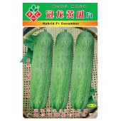 广州卓艺 冠龙黄瓜种子 农科院老专家选育 耐热 抗病 极理想的大吊瓜品种 黄瓜种子 10克装