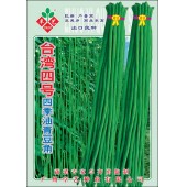 广州卓艺 台湾四号四季油青豆角种子 台湾引进 荚色油绿 早中熟 青豆角种子 400克装