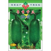广州卓艺 粤秀节瓜种子 农科院老专家选育 早熟抗病 瓜长15-17厘米 出口型 节瓜种子 20克装