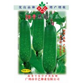 广州卓艺 28号黑毛节瓜种子 耐热 抗病 产量高 节瓜种子 20克装