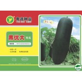 广东粤蔬 黑优大杂交冬瓜种子 广东农科院选育 耐贮运 亩产6000kg  强烈推荐 冬瓜种子 30克/罐