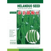 广州阳兴 泰美甜脆豆种子 白花 豆荚青绿 荚形大 肉厚 脆豆种子 400克装