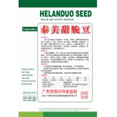 广州阳兴 泰美甜脆豆种子 白花 豆荚青绿 荚形大 肉厚 脆豆种子 400克装