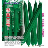 广州阳兴 华宝三号丝瓜种子 春秋丝瓜 颜色深绿 货架期长 丝瓜种子 200克装