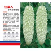 广州鹏洁 白丽人台湾珍珠苦瓜种子 早熟 抗病强 耐低温 苦瓜种子 50粒