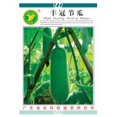 广东粤蔬 丰冠一号节瓜种子 广东农科院选育 亩产4000kg 1-8月适播 节瓜种子 20克装