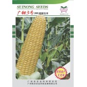 广州乾农 菜科所选育 穗农广甜3号超甜玉米种子 市农科院选育 籽粒大 特耐热耐湿 玉米种子 200克