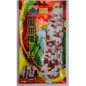 河北金束鹿 加甜糯75玉米种子 水果鲜食玉米 早熟 抗病能力强 玉米种子 200克装