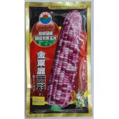 河北金束鹿 丽彩玉米种子 甜糯水果玉米 早熟 穗长25厘米 玉米种子 200克装