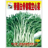 泰国 空心菜种子 耐热 耐风雨 病虫害少 空心菜种子 500克装