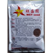 广州广联 萝卜青菜苗种子 早生 叶片鲜绿色 品质鲜嫩 萝卜青菜苗种子 400克