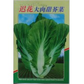 阳春农资 迟花大肉甜芥菜种子 纤维少 清香可口 质脆嫩 芥菜种子 10克装