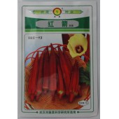 武汉蔬菜所红箭秋葵种子 果实外皮红色 亩产量2000kg 武汉蔬菜所出品 秋葵种子 10克装