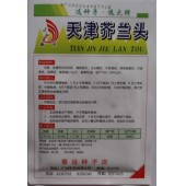 广州蔡远 天津芥兰头种子 中熟品种 不易抽苔 球茎扁圆形 亩产2000公斤 芥兰头种子 15克装