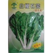 江门利隆种苗 白梗石菜种子 又名莙荙菜 叶圆形肥厚 深绿色 家庭必备蔬菜 白菜种子 20克装