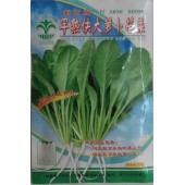 江门利隆种苗 早熟快大萝卜苗菜种子 18天就可采收上市 45天就可采收萝卜 萝卜种子 30克装
