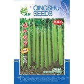清远兴华 益丰龙芽青茄种子 中早熟品种 平均单果重150g左右 高产量可达6000公斤 青茄种子 5克装