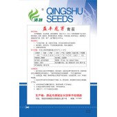 清远兴华 益丰龙芽青茄种子 中早熟品种 平均单果重150g左右 高产量可达6000公斤 青茄种子 5克装