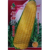 超甜38鲜食玉米种子 鲜果穗重400克左右 好吃无渣 熟吃甜糯 玉米种子 40克装