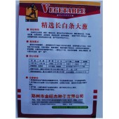 精选长白条大葱种子 生长势强 抗病高耐热 亩产可达5000公斤 大葱种子 10克装