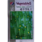 超丰节瓜王黄瓜种子 秋瓜精品 瓜长20-25厘米 黄瓜种子 10克装