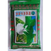 阳春农资 超级水口白菜种子 耐热耐湿高产 适应性广 易种植 白菜种子 25克装
