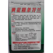 阳春益民 黄花粗条芥兰种子 长势壮旺 少蜡粉 耐湿 品质好 芥兰种子 10克装